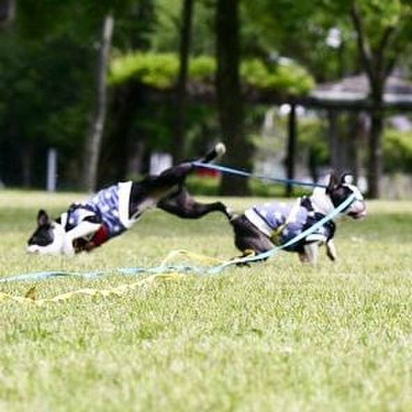 7461b8ff 3448 4133 a985 cee3d9c300a8 1557486256158