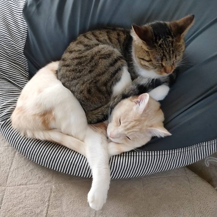 7461ce0c 069b 41ba 987e 5d2de691cfbd 1682225322994