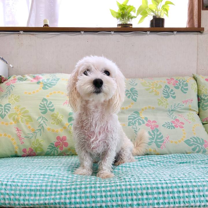 7461ec7d 7539 4823 8da2 fb995bfa699f 1567409768437