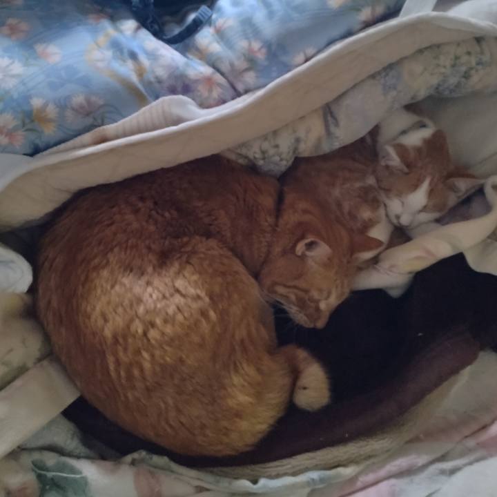 74625f6b e1d8 43c5 bcee 0ff3de100ba5 1733808660945