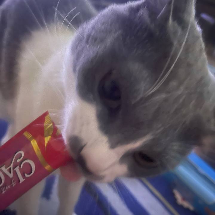 74628af8 0672 4644 a679 2dd1214d733c 1631178357402