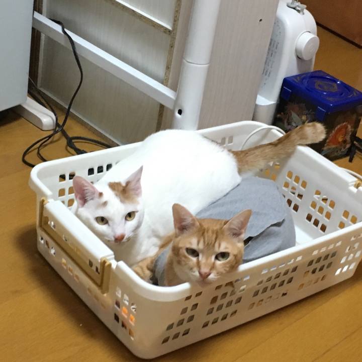 7462ab62 b06f 4dc3 9c07 4993551f7e20 1521974027006