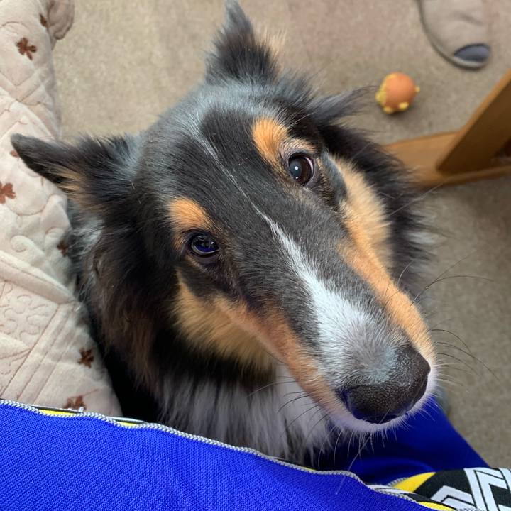 7462c1a5 e114 4343 abfd ef1622c0916d 1571524391545