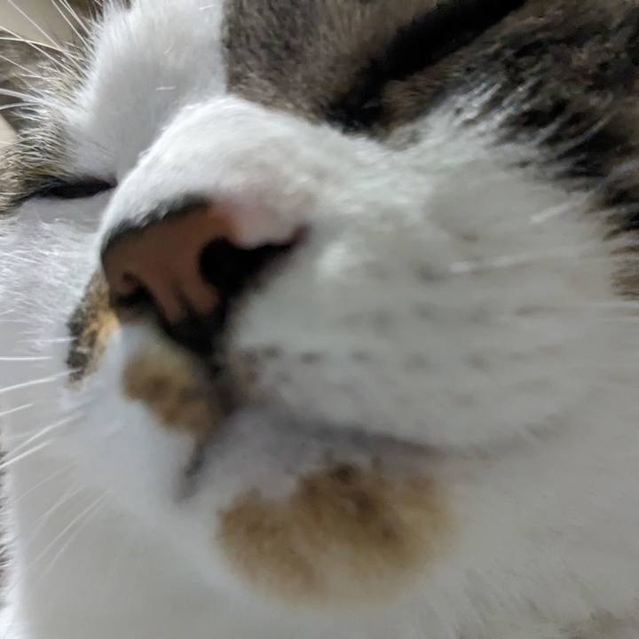 7462c681 6380 4b0b 8c84 37abe46fad91 1716091383921