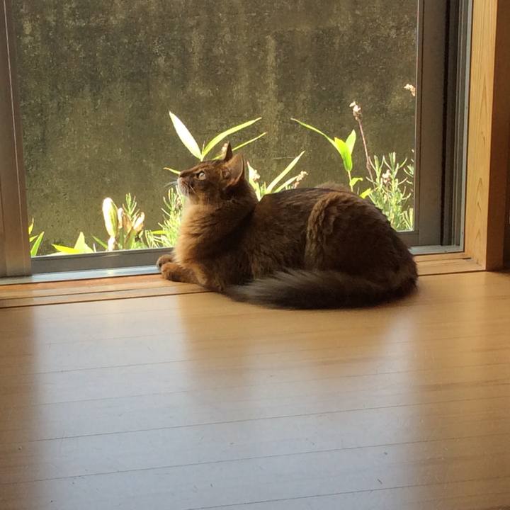 7462c836 cad4 4fd0 99bb 66921d09510e 1593396357163