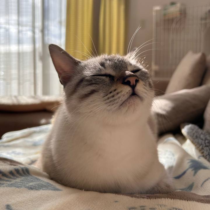 74630ff8 9c48 4c84 a5c1 9929c5febd45 1734926381602