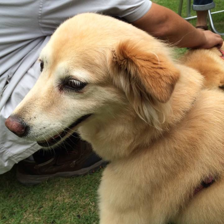 74631140 21f9 474c af6a 46c67beb4391 1594385346703