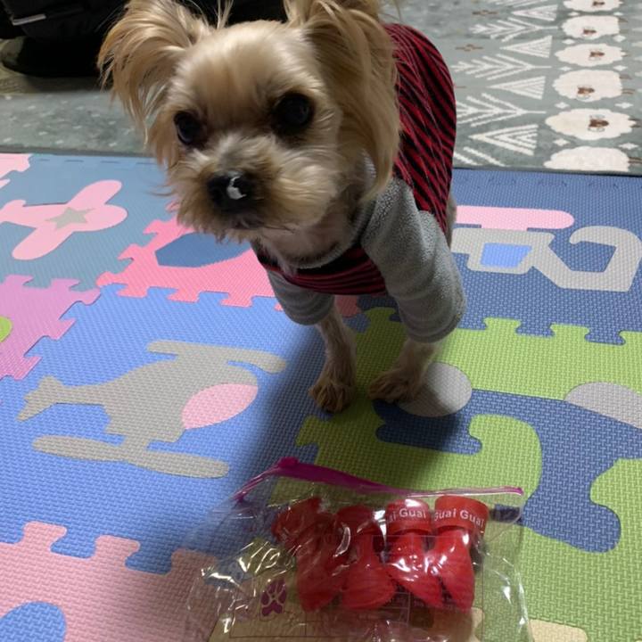 746319aa 272b 4d57 a17c c2d1a78850d0 1608455388984