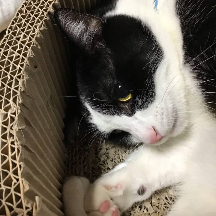 74637341 519e 4b55 895e 0fe748152459 1699701098372