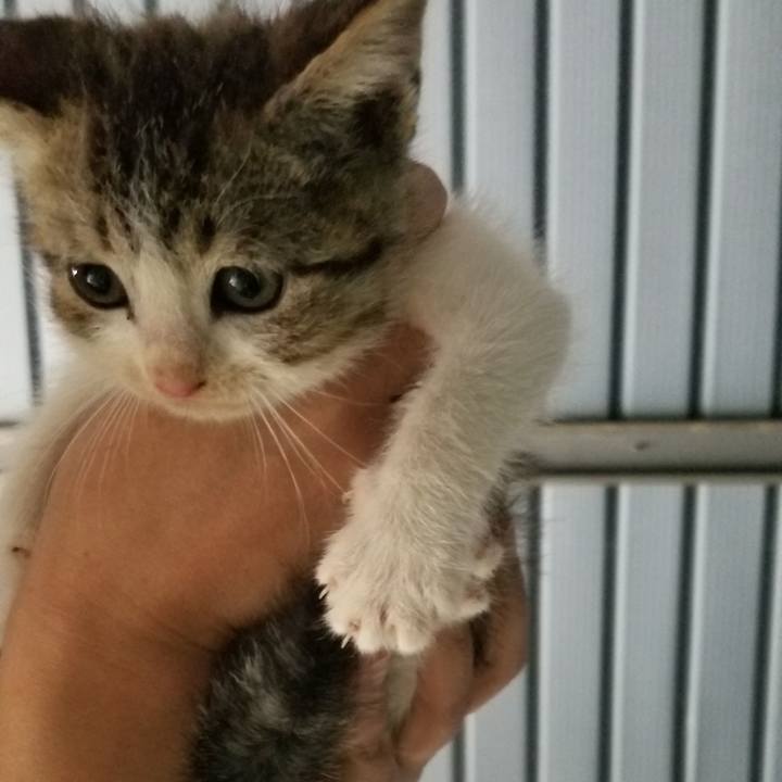 74637441 95fd 4e8e 9438 58077965e576 1569219513697