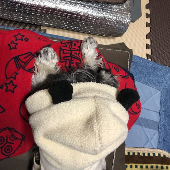 74638e83 40be 440f 85b5 dae39f4066d0 1706452066204