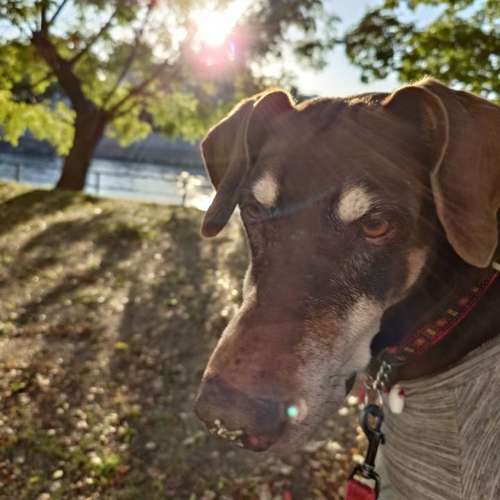 7463e1c2 10b1 4d84 a210 181fb5b4302c 1764127013166