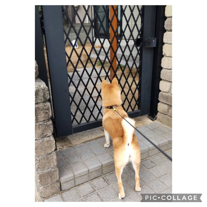 7463ed40 f2e0 4022 8341 aeff41663879 1707523614301