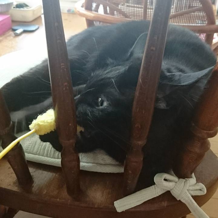 7463f6f7 7187 490c 9d74 906d76314ba0 1556765784690