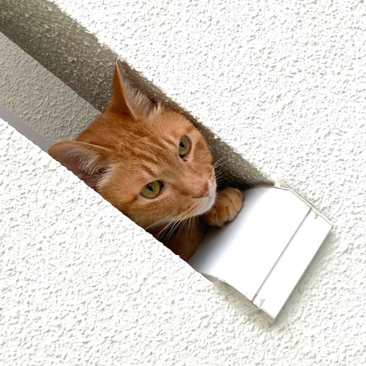 74641024 f318 4046 9a04 2f2163746475 1757047844066