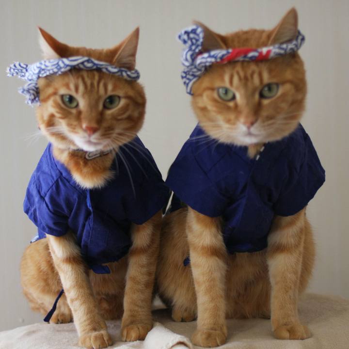 74647440 b52b 4e4a 8e8c cc05a81d1886 1512896911562