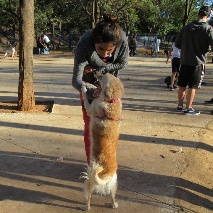 74648578 65a7 4ccc a976 f3ca191d8efa 1534212042979