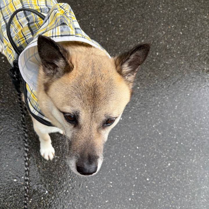 7464d445 3b9c 4859 a00a 363c33e0b8c7 1747832103649