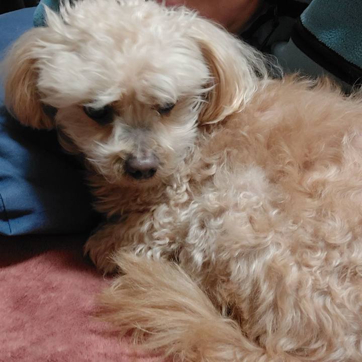 7464d481 92a5 4741 a930 5702d19b7992 1740703564892