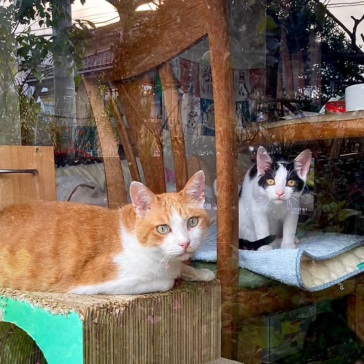 7464e3cf f569 4f41 b2b2 4d79f04f67e8 1633318084581