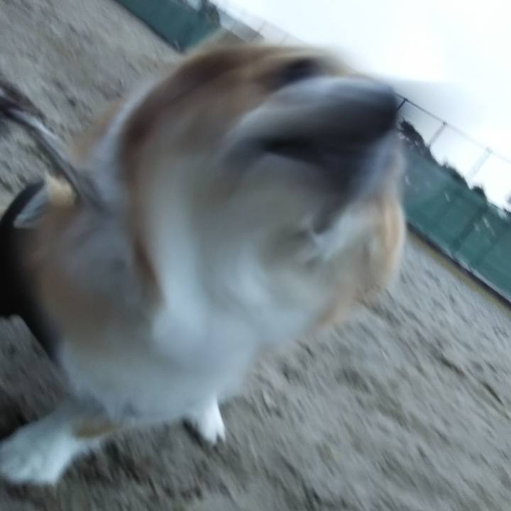 74653ef4 e264 4eb8 8f45 ef6af06b4ff2 1545121059947