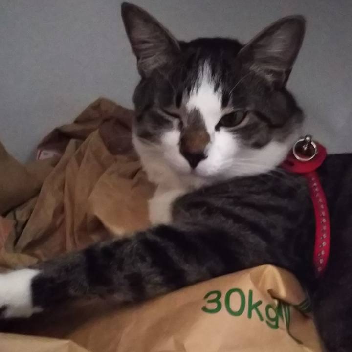 74654203 00ed 4f00 81de d8125993fd74 1615547430892