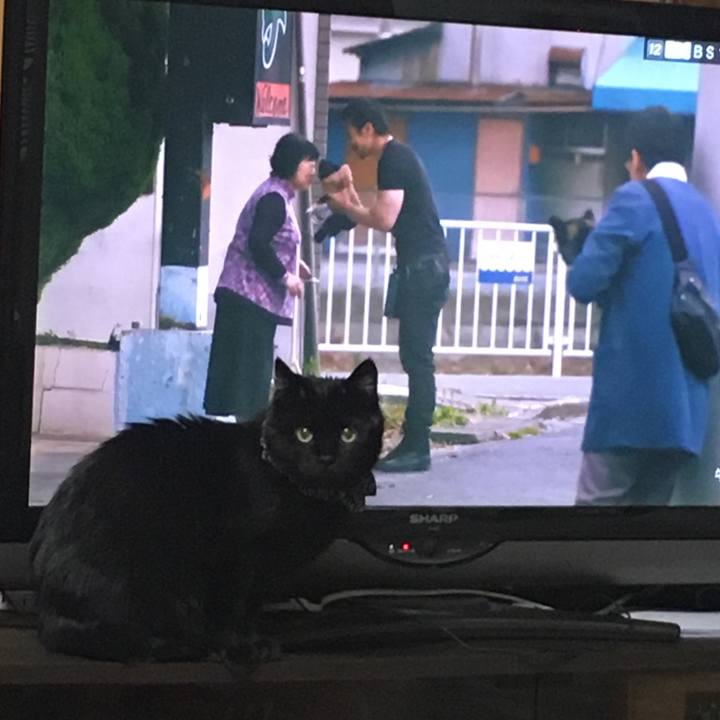 7465472f fc4a 4bbe bf27 bf29a127bdca 1547900464803