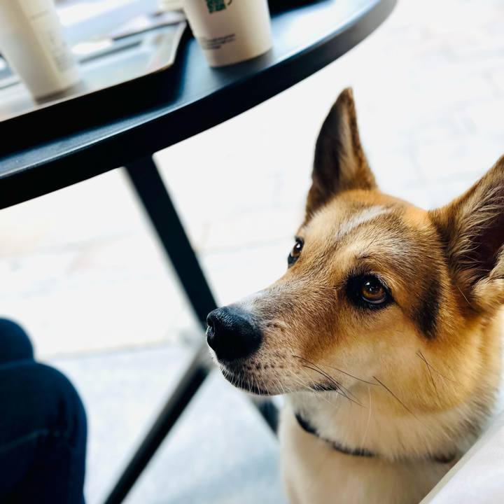 74655180 2e98 4e39 a36f 33a4aa6da443 1758761120641