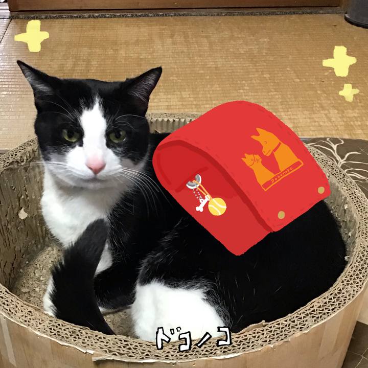 74656344 9fa8 41d0 bae9 3721d52e7ce1 1744355302572