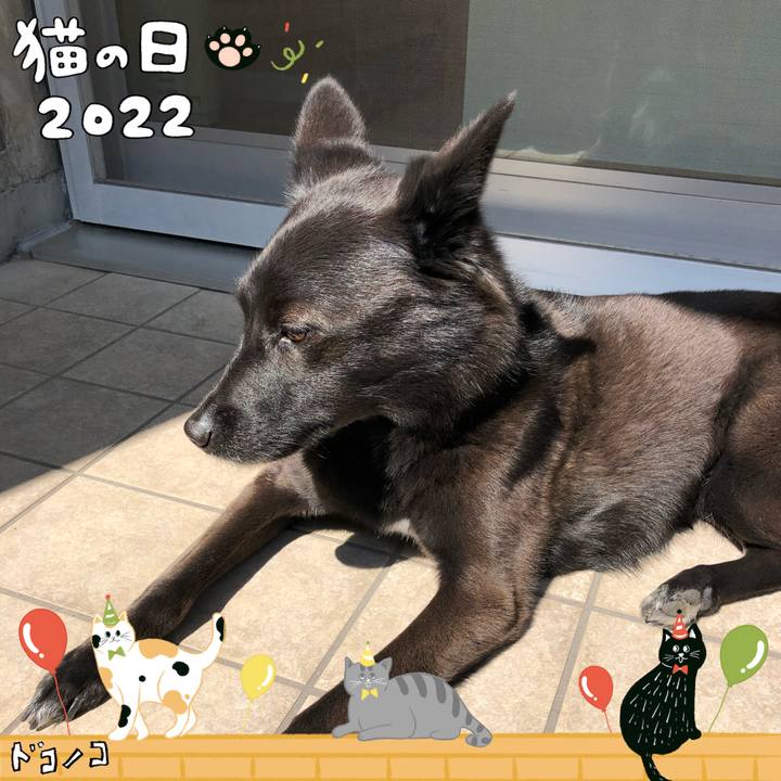 74658c6d e023 4c3e a49d d06670696e0a 1645580970368