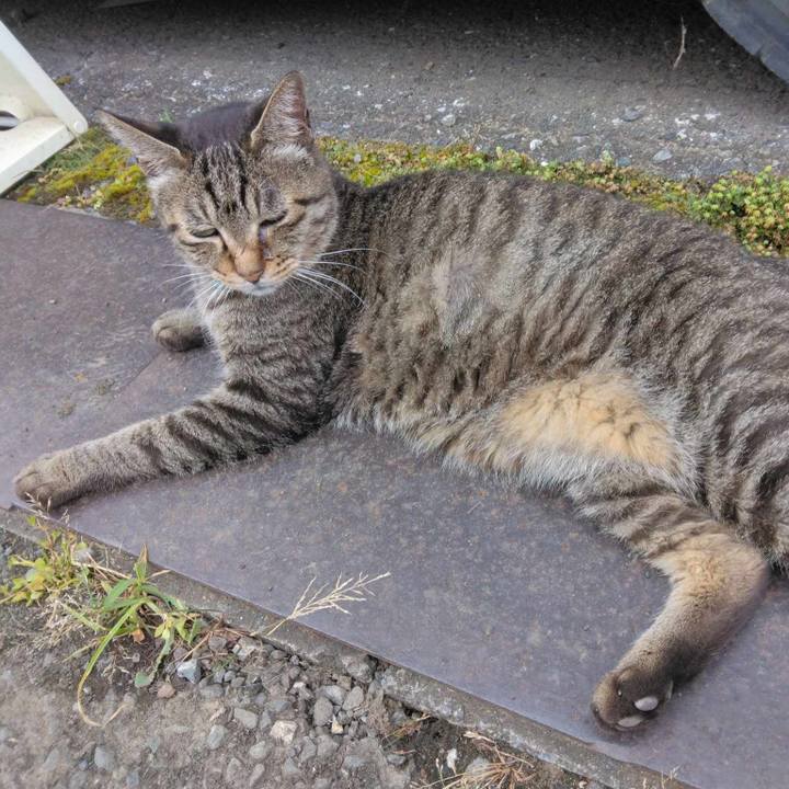 74659db5 627d 4554 993c 87ee5a61d28a 1689993037509