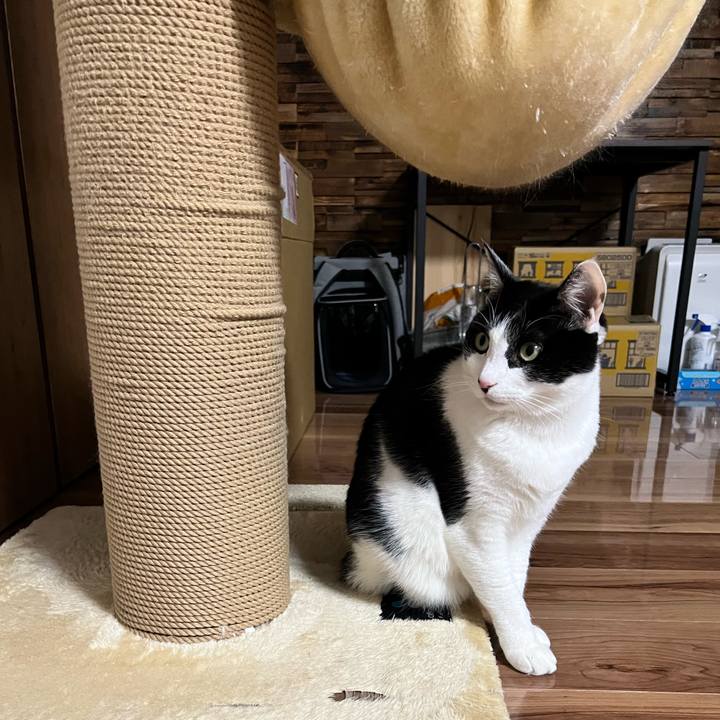 74659dce 332d 4cfe 8cf3 9b33064952fb 1766141978902