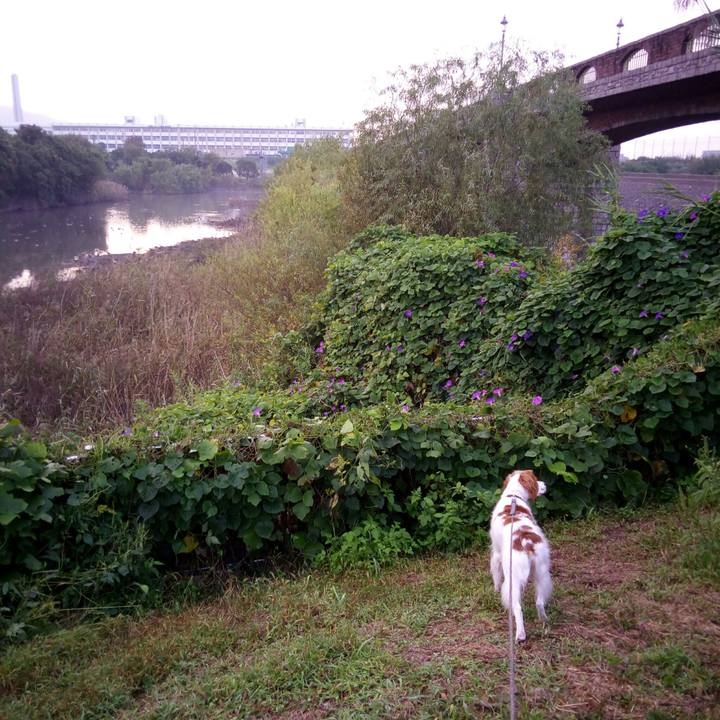 7465d49d f0b8 433e 8a5b 44e4c46dae71 1510490137991