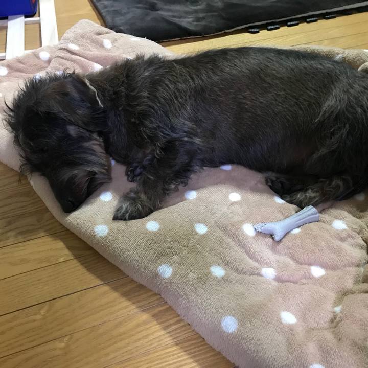 74663352 fde9 4268 99d3 11d828150b48 1549972880161