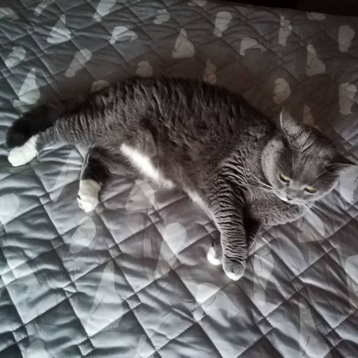 7466558d 1cd7 4f8a bce1 8535542a9ebc 1627255624519