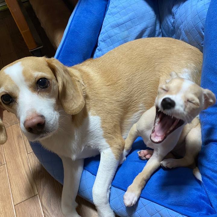 74665ef3 ef1c 4032 bb3f 4561f02ae9ac 1662608682130