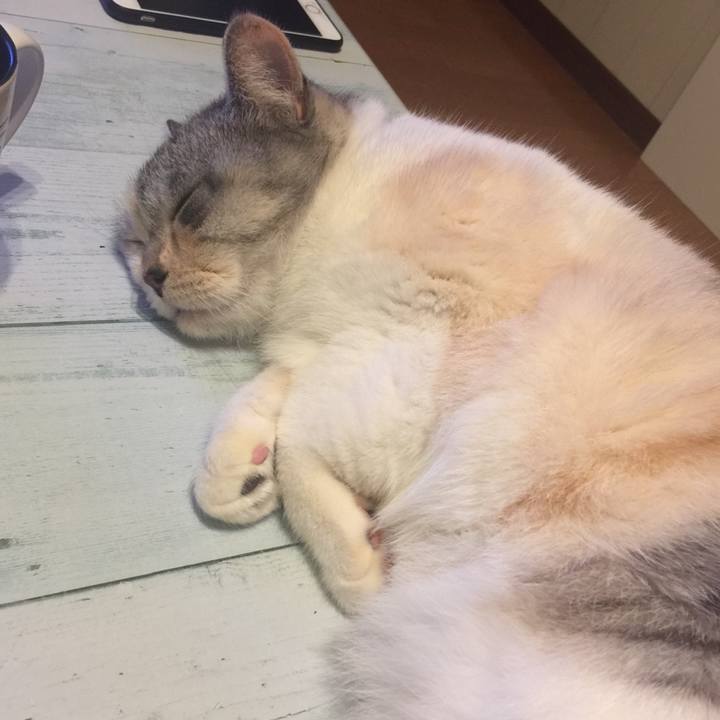 7466eb13 05b3 4528 b268 9759f5e892d5 1572352543858