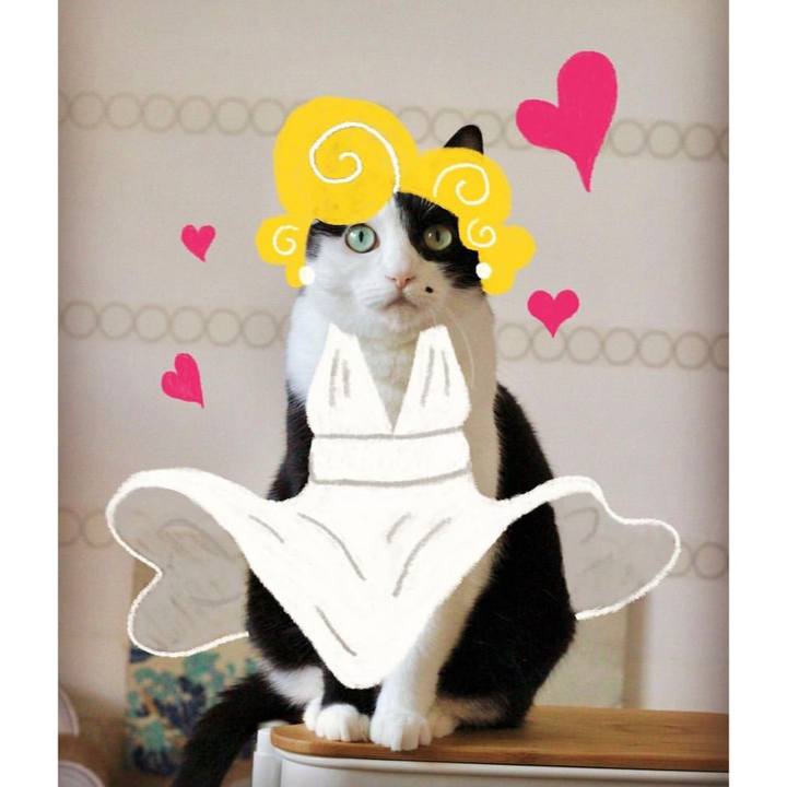 7466fbbf 9226 4e80 9f06 bb6a9b05de57 1640486549019