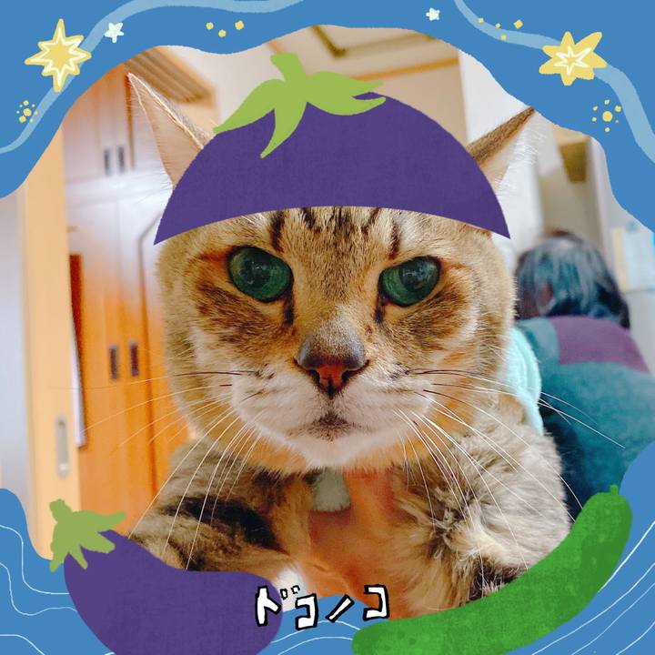 7466fff1 a405 4361 9128 164dc46a51f2 1755351724971