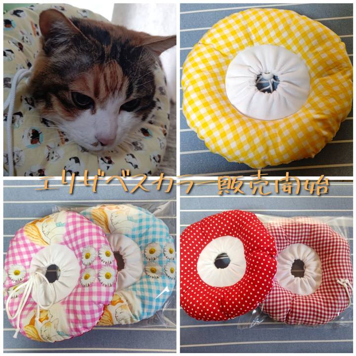 746704fa 53ec 4fb3 8e8e 6391dcb8032a 1614068716613