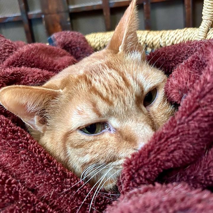 7467224b c69a 4577 936c 0ad8ea875554 1770158761894