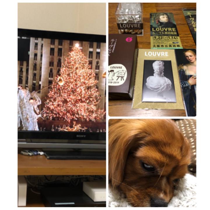 74675919 49c8 4c9a 9f6d fa25b392fc65 1545403285875