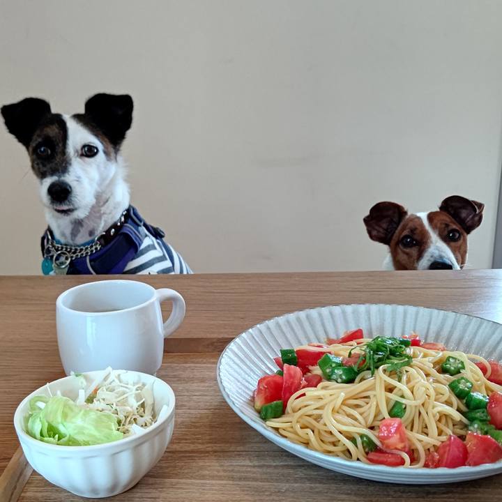 7467602a 737c 4d1f 9508 f0d5c8df660a 1656761076752