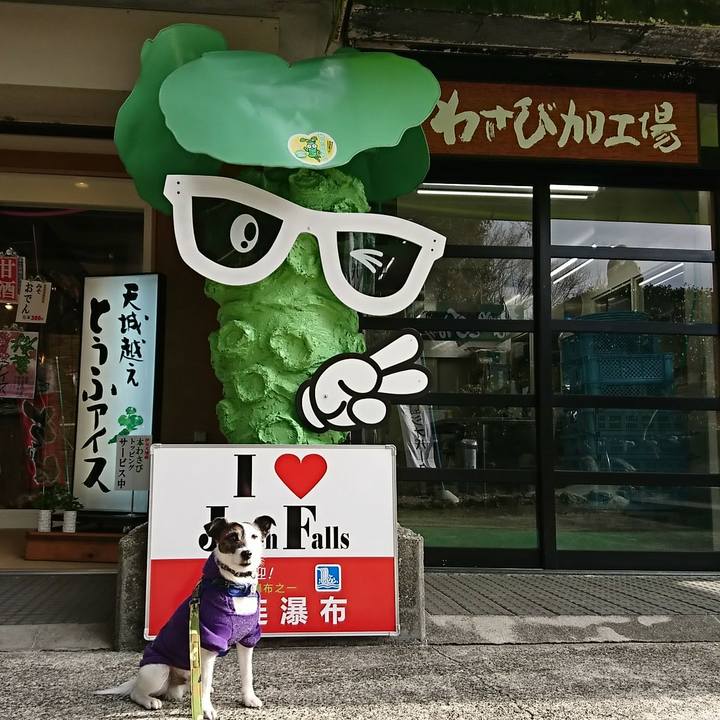 7467761e a1e7 4359 bb98 f07114aae8dc 1518912826367