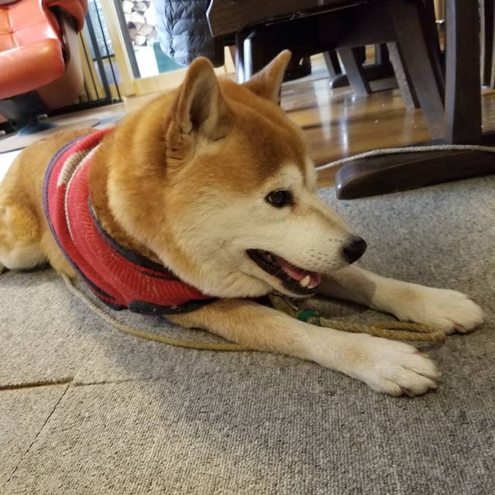 746787e2 a492 4023 ad1e c55a80ae0bef 1610321902371