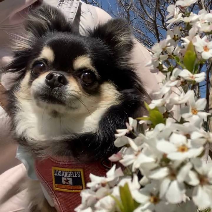 74678aaa 3de7 4d38 ac6e cb575f179d13 1648115732445