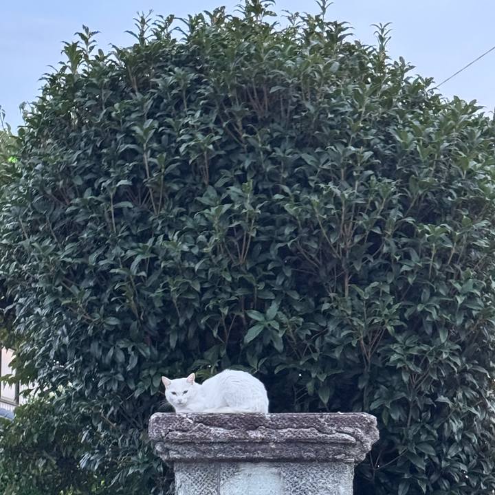 74679518 7faf 40fd 9407 bd27f60001b6 1759112372752