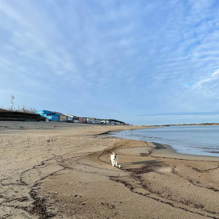 7467cfa2 9523 4ac7 926f 9c6f924547b2 1614896668060