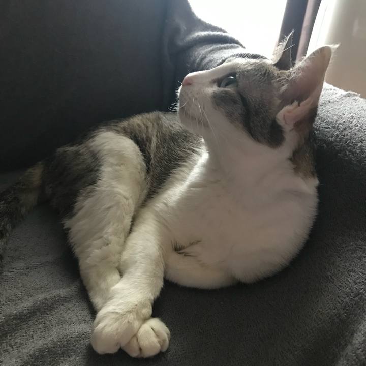 7467dd9f 300d 413f a5ea fb8defa7ff1a 1650409815841