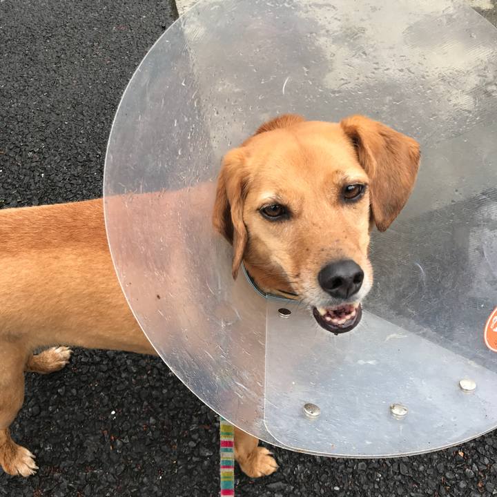 7468235d 08ee 46ec a46e 74b2407030f1 1556611586963